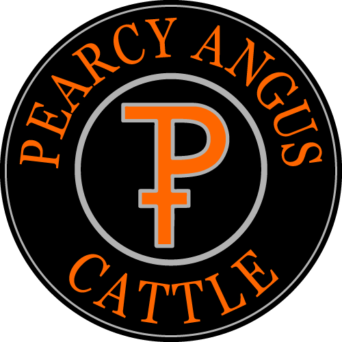 Pearcy Angus Cattle